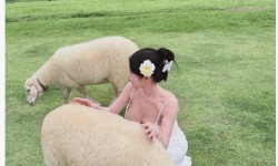 가슴골 모양 퍼진걸 보아하는 백퍼 참젖 확실